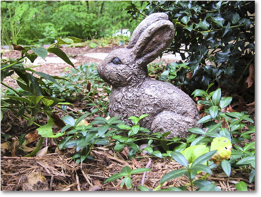 Susie'sGarden_2010Aug_IMG_0306