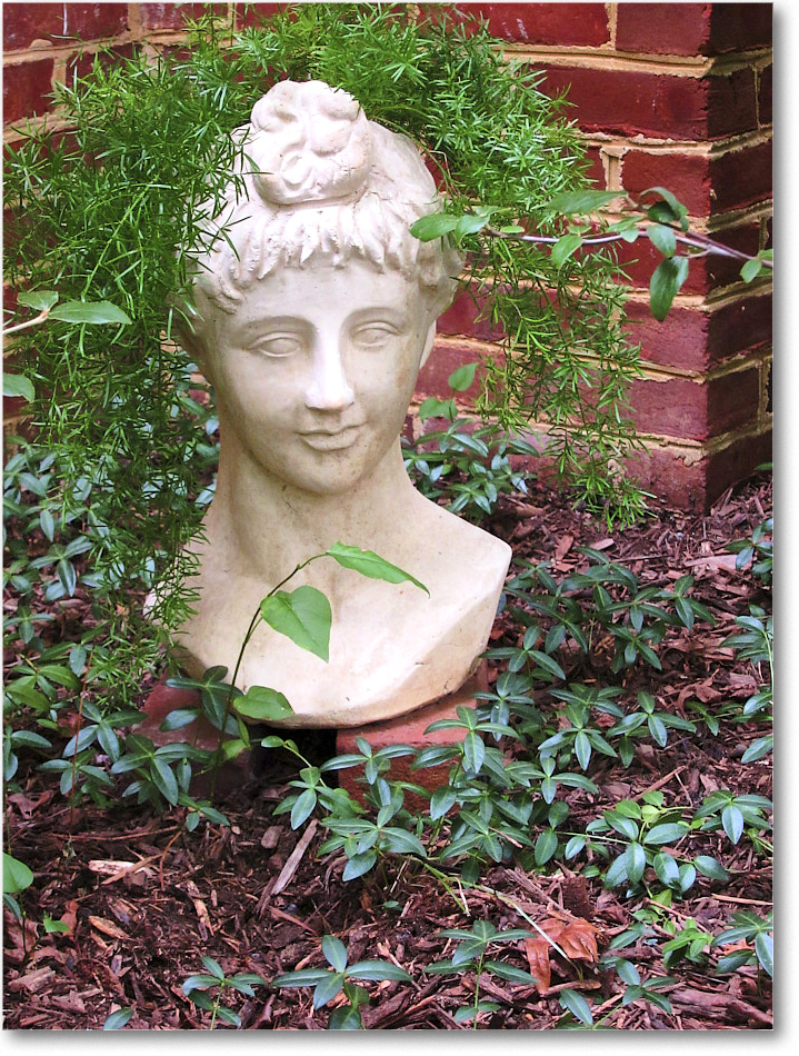 Susie'sGarden_2010Aug_IMG_0317