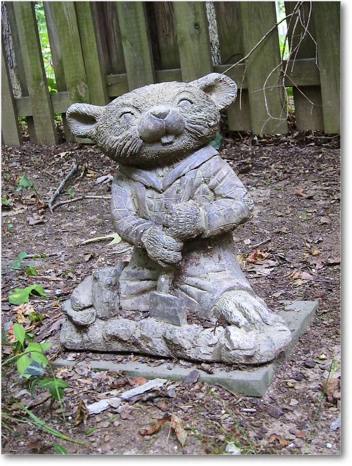 Susie'sGarden_2010Aug_IMG_0320