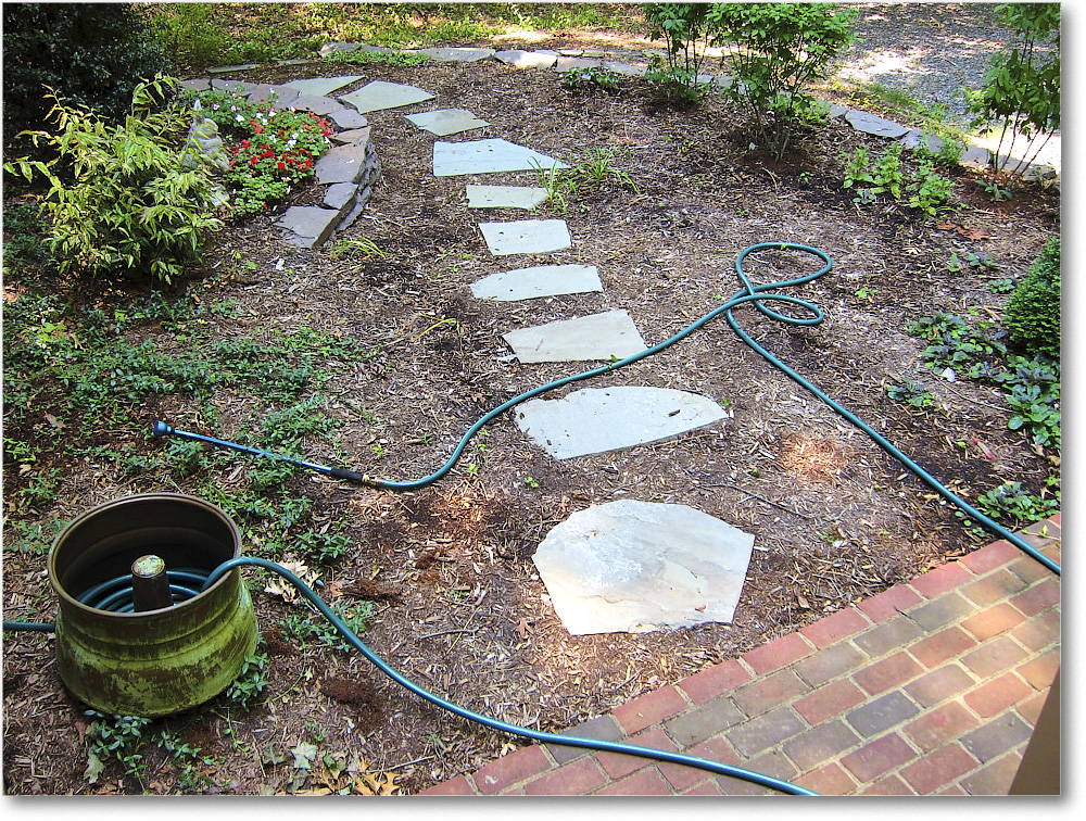 Susie'sGarden_2010Jul_IMG_0123