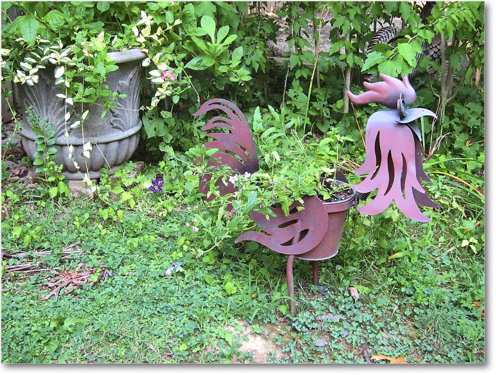 Susie'sGarden_2010Jul_IMG_0131