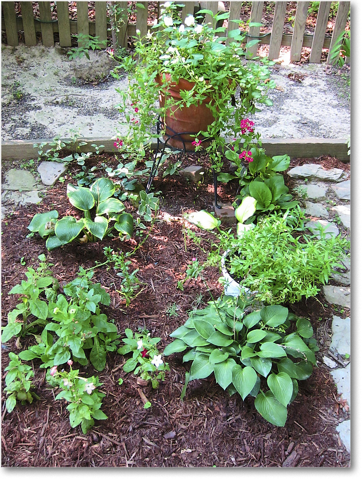 Susie'sGarden_2010Jul_IMG_0132