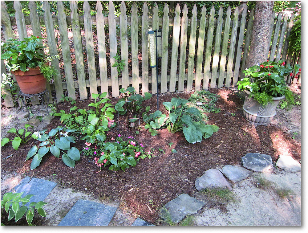 Susie'sGarden_2010Jul_IMG_0133
