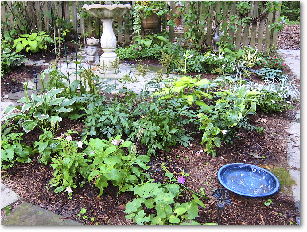 Susie'sGarden_2010Jul_IMG_0141