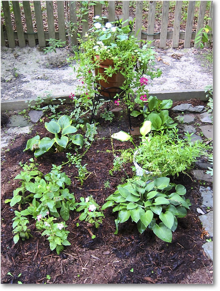 Susie'sGarden_2010Jul_IMG_0142