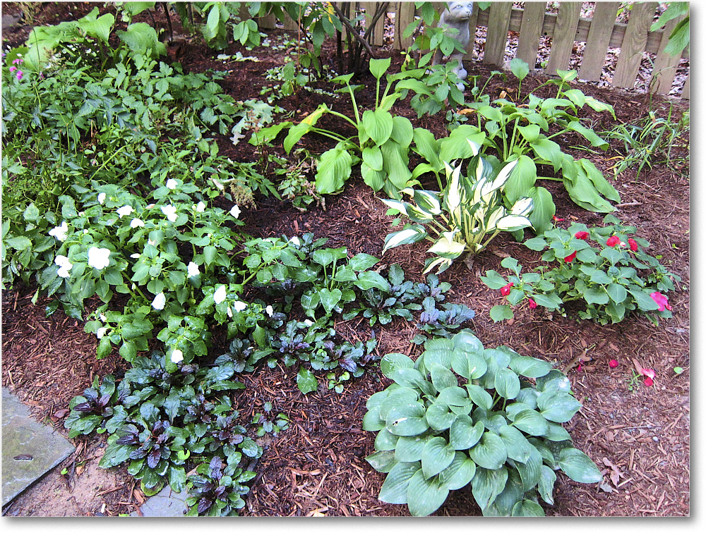 Susie'sGarden_2010Jul_IMG_0144