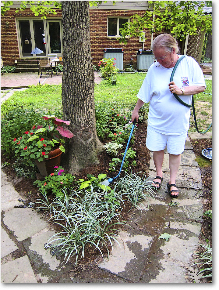 Susie'sGarden_2010Jul_IMG_0146