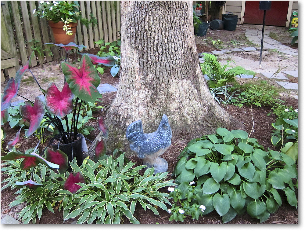 Susie'sGarden_2010Jul_IMG_0147