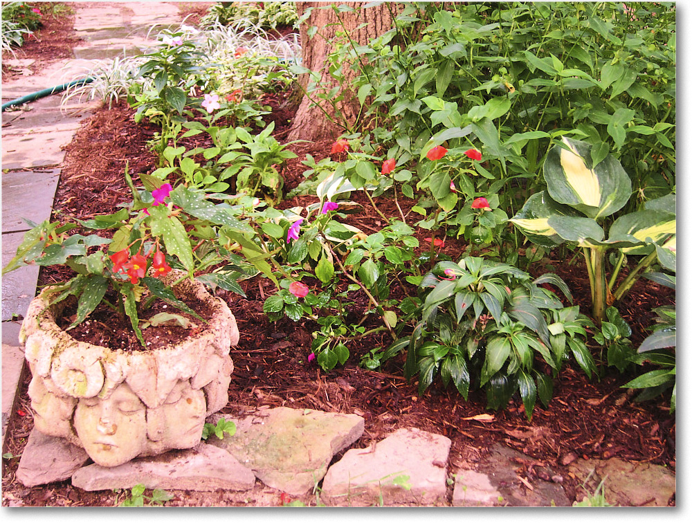 Susie'sGarden_2010Jul_IMG_0150