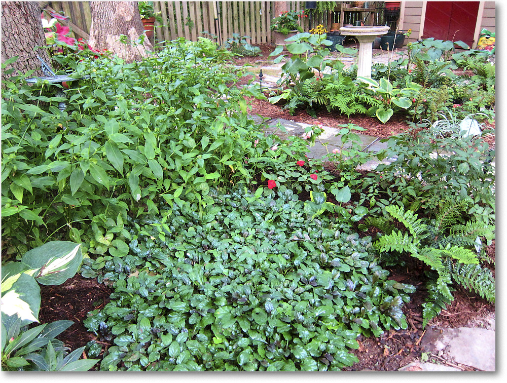 Susie'sGarden_2010Jul_IMG_0151