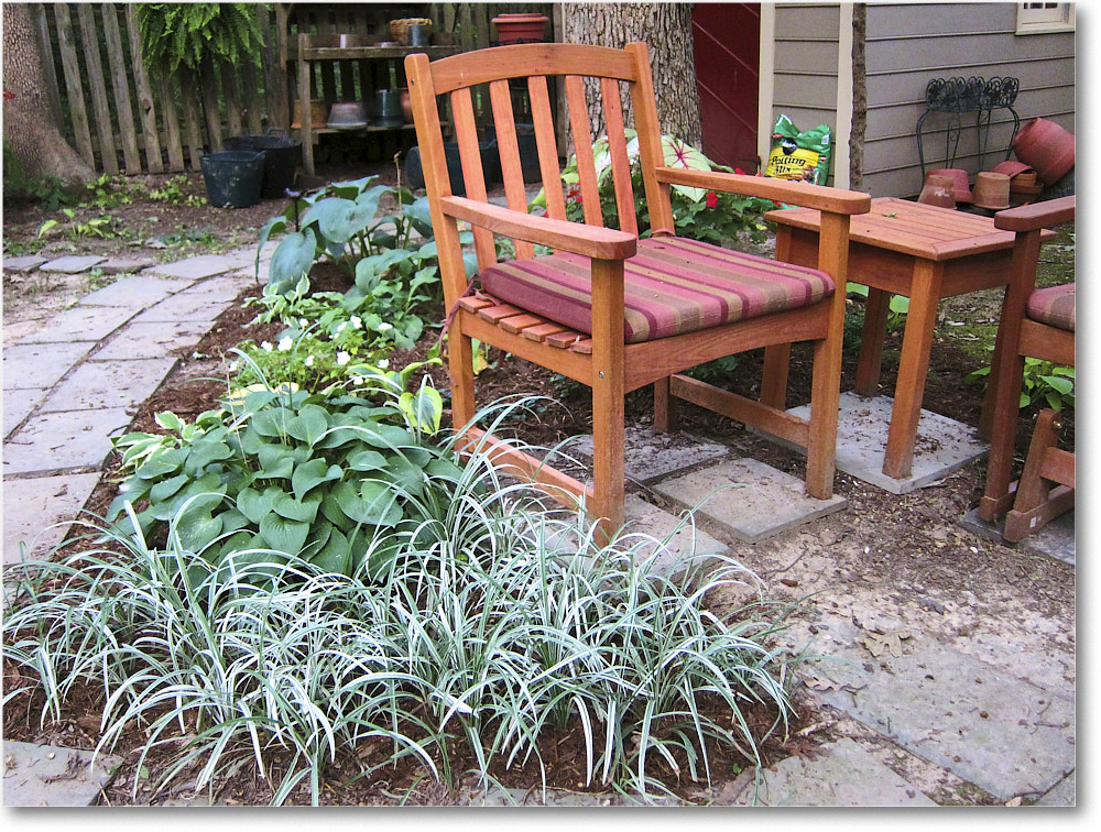 Susie'sGarden_2010Jul_IMG_0153