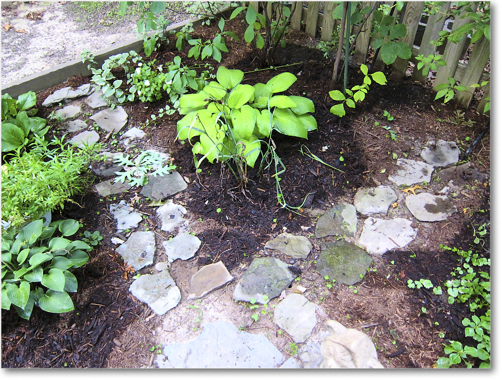 Susie'sGarden_2010Jul_IMG_0159