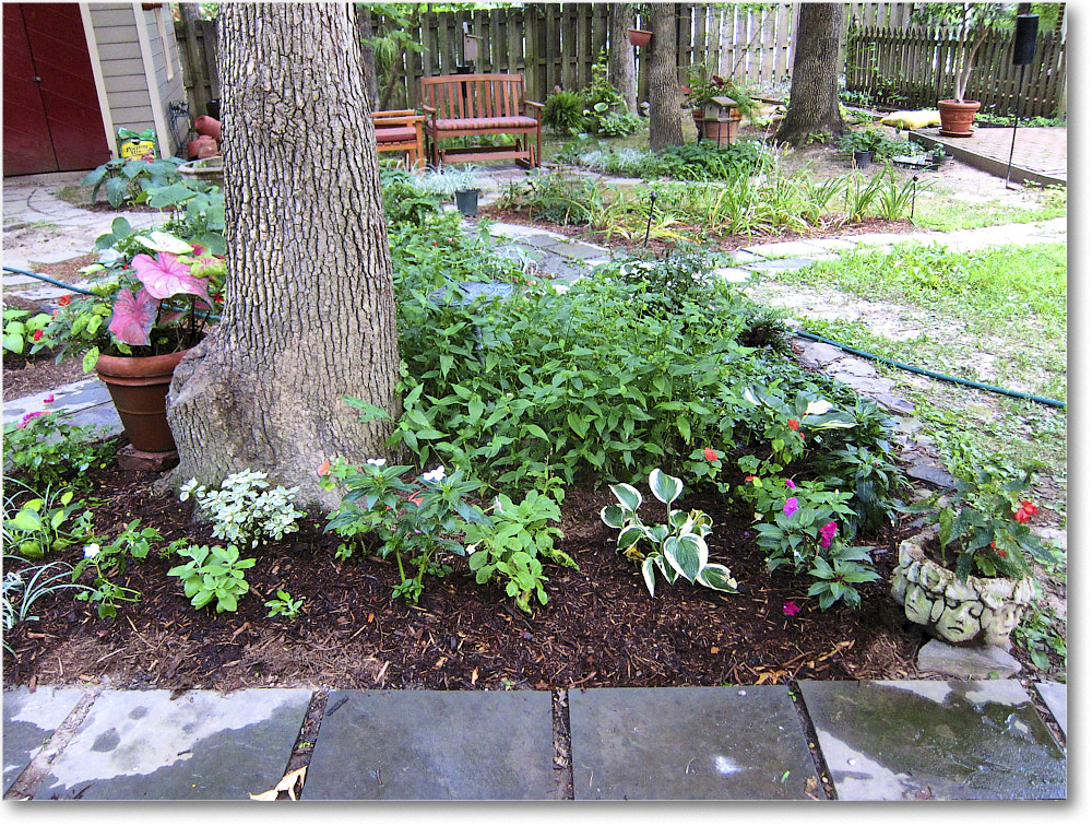 Susie'sGarden_2010Jul_IMG_0160
