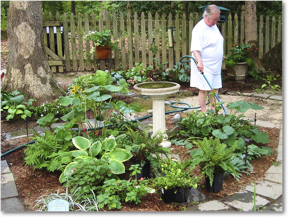 Susie'sGarden_2010Jul_IMG_0163