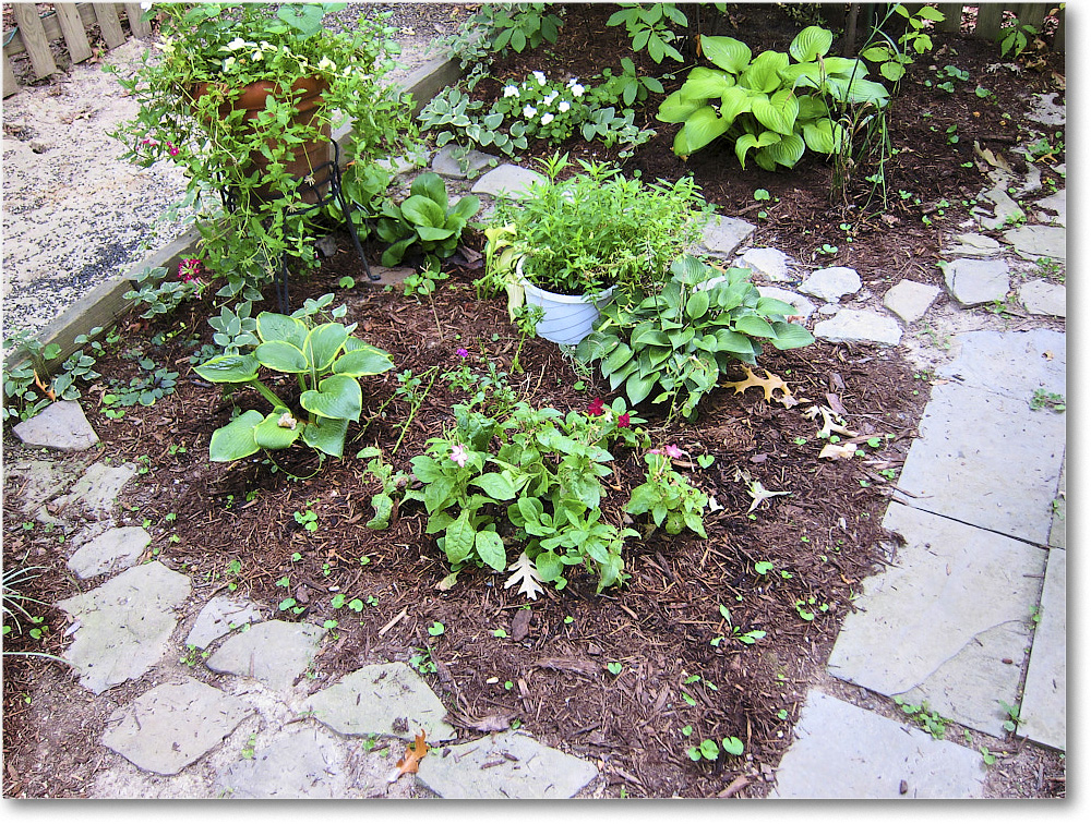 Susie'sGarden_2010Jul_IMG_0186