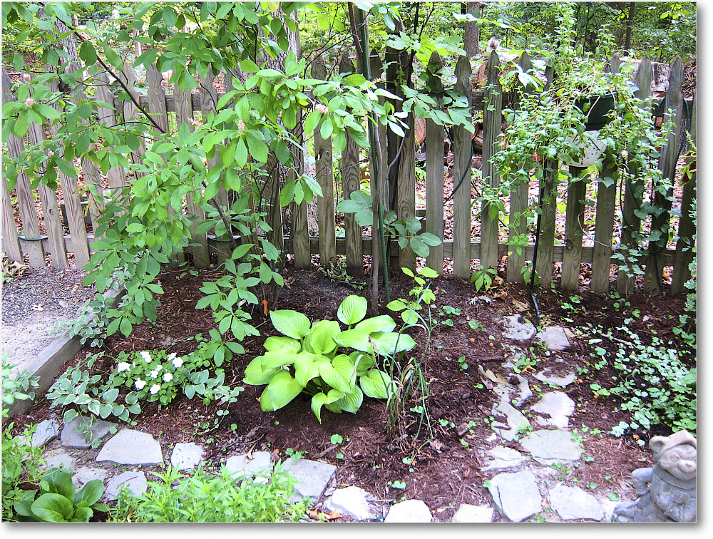 Susie'sGarden_2010Jul_IMG_0187