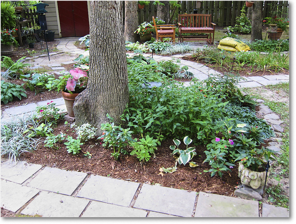 Susie'sGarden_2010Jul_IMG_0189