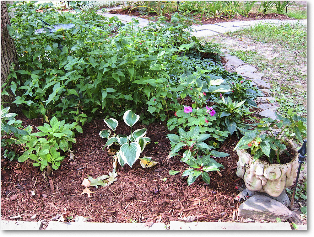 Susie'sGarden_2010Jul_IMG_0190