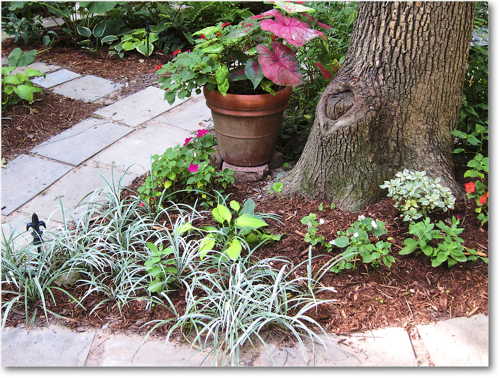 Susie'sGarden_2010Jul_IMG_0191