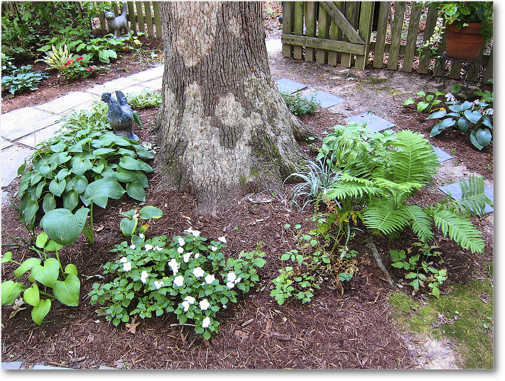 Susie'sGarden_2010Jul_IMG_0195