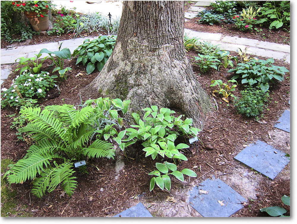 Susie'sGarden_2010Jul_IMG_0196