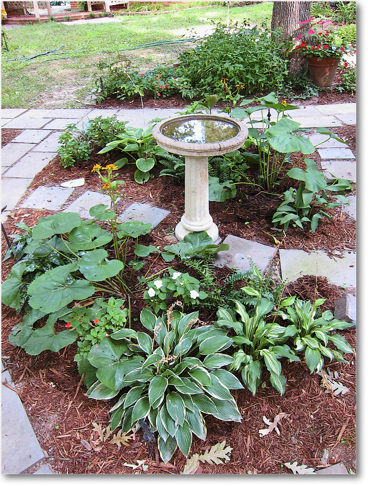 Susie'sGarden_2010Jul_IMG_0199