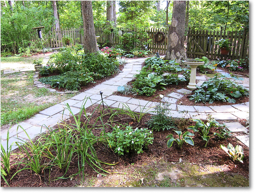 Susie'sGarden_2010Jul_IMG_0206