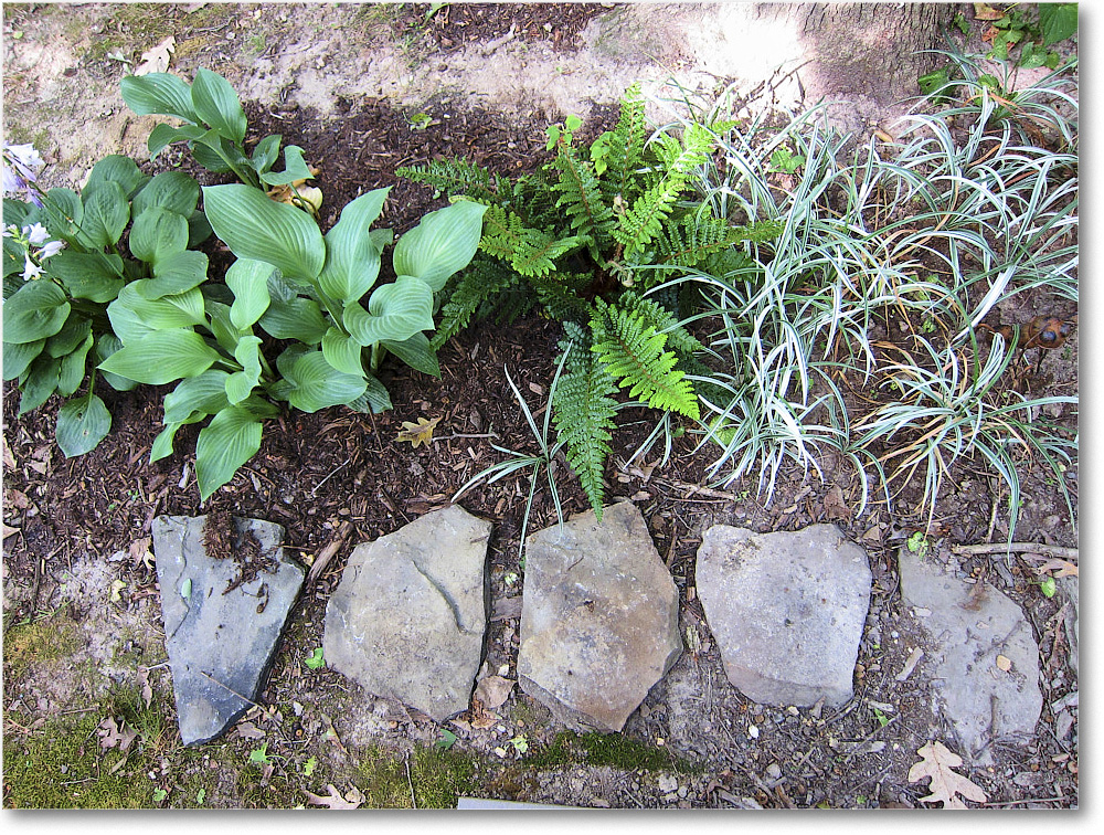 Susie'sGarden_2010Jul_IMG_0210