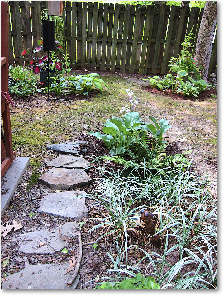 Susie'sGarden_2010Jul_IMG_0211