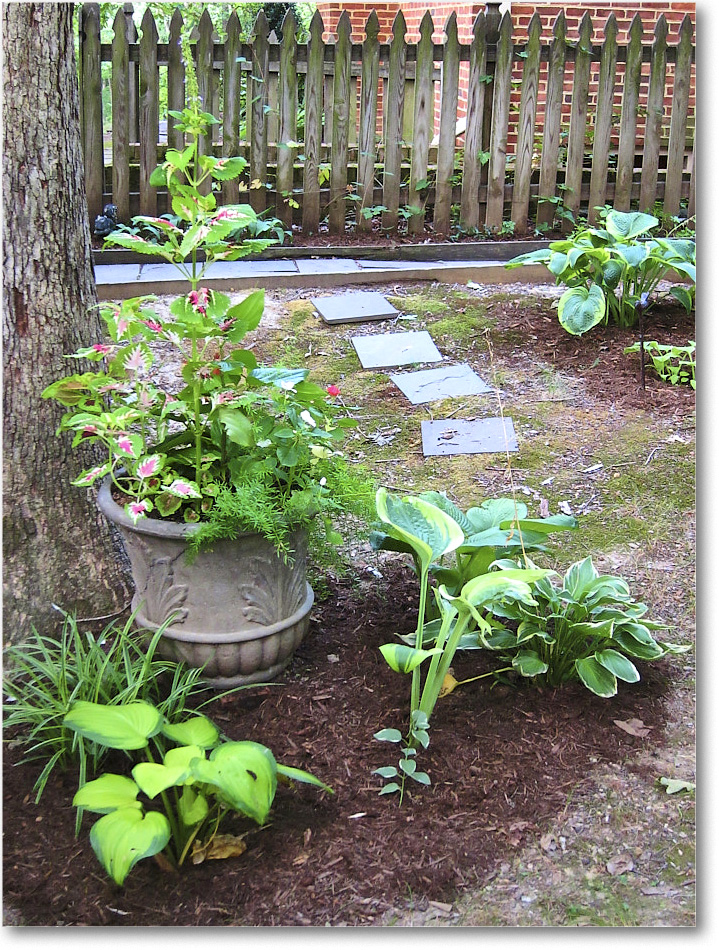 Susie'sGarden_2010Jul_IMG_0217