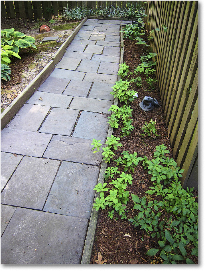 Susie'sGarden_2010Jul_IMG_0223