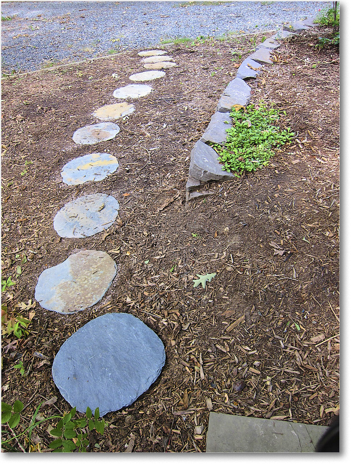 Susie'sGarden_2010Jul_IMG_0232