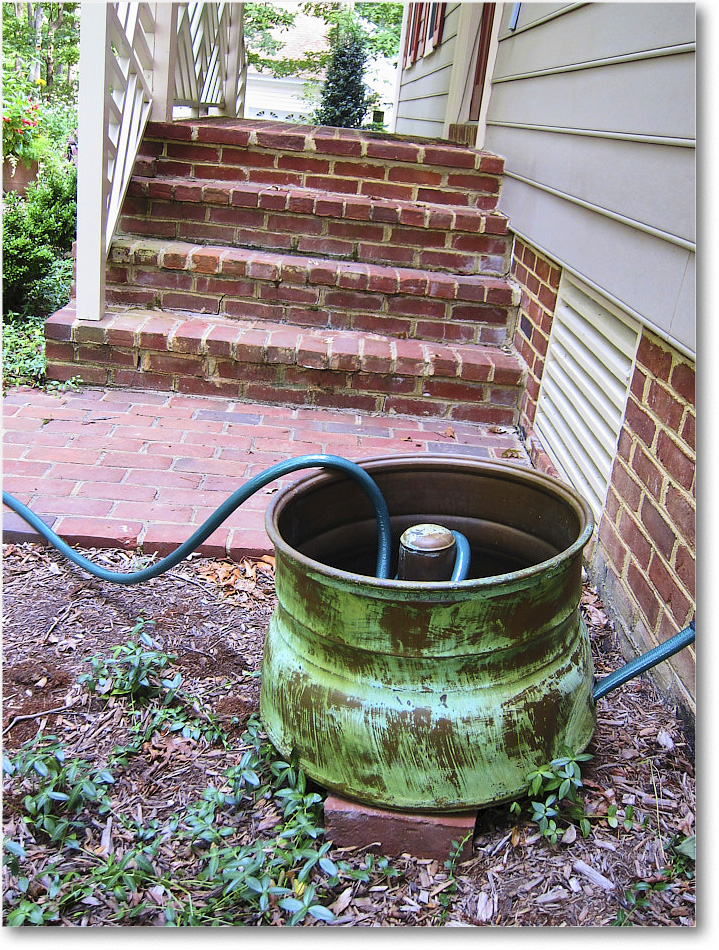 Susie'sGarden_2010Jul_IMG_0233