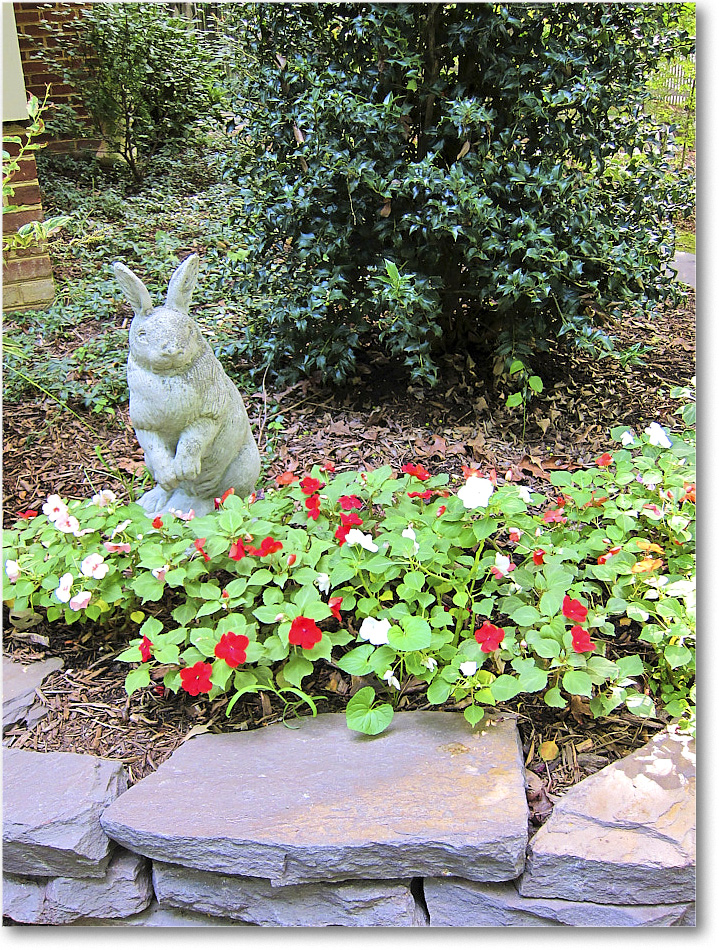 Susie'sGarden_2010Jul_IMG_0234