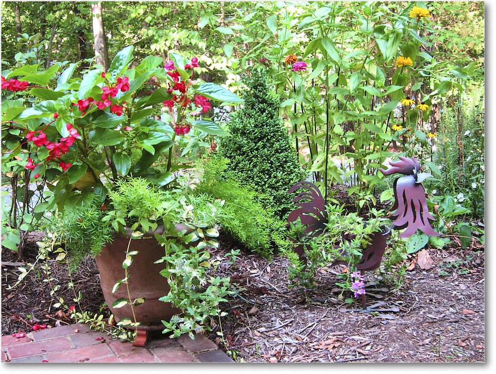 Susie'sGarden_2010Jul_IMG_0245