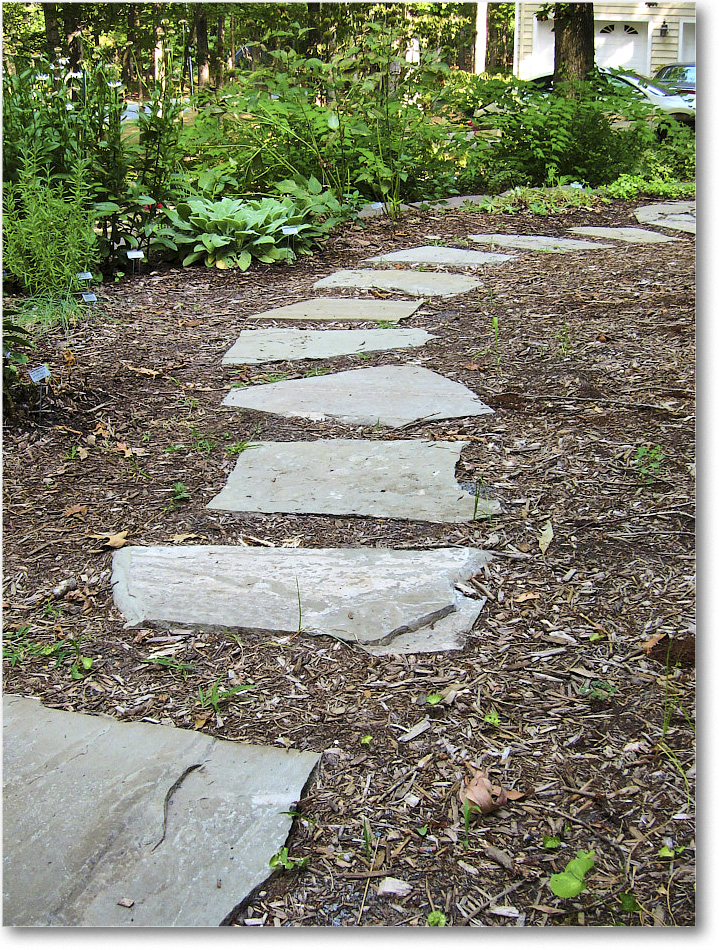 Susie'sGarden_2010Jul_IMG_0246