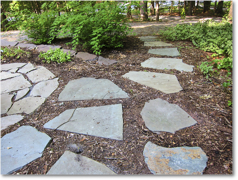 Susie'sGarden_2010Jul_IMG_0252