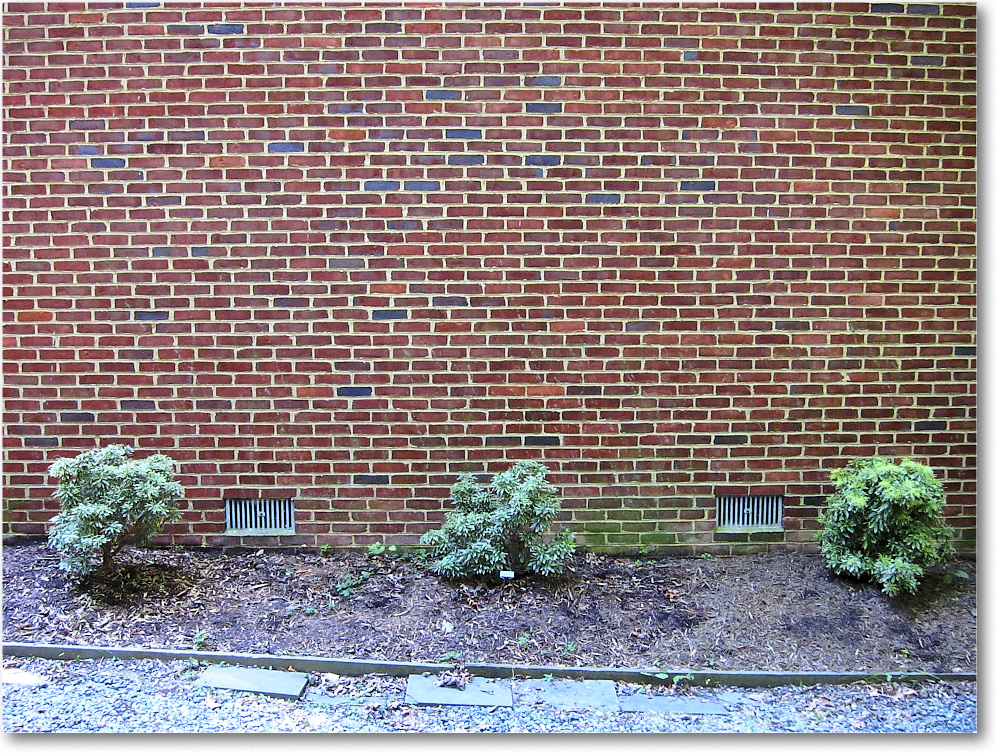 Susie'sGarden_2010Jul_IMG_0255