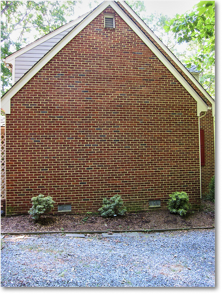 Susie'sGarden_2010Jul_IMG_0257