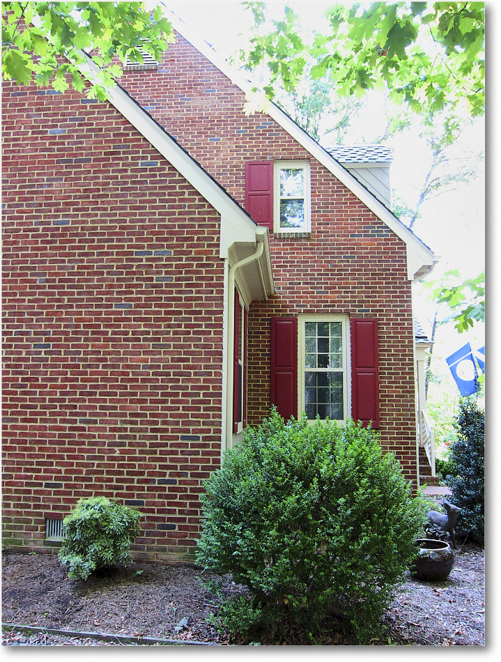 Susie'sGarden_2010Jul_IMG_0258