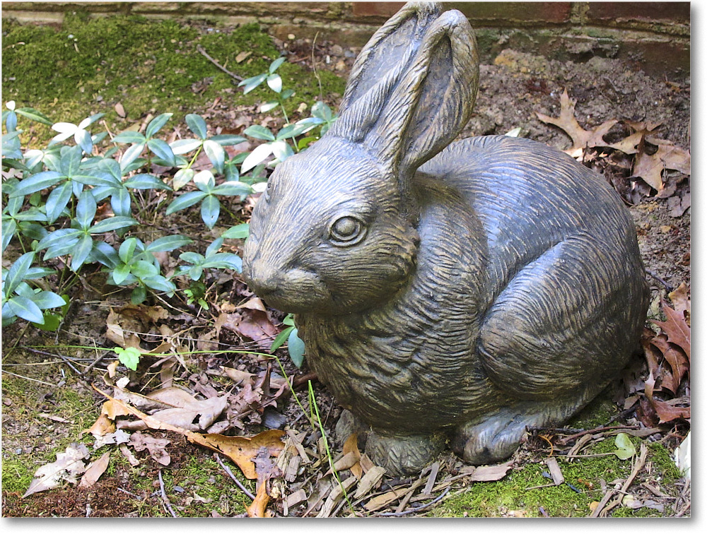 Susie'sGarden_2010Jul_IMG_0262