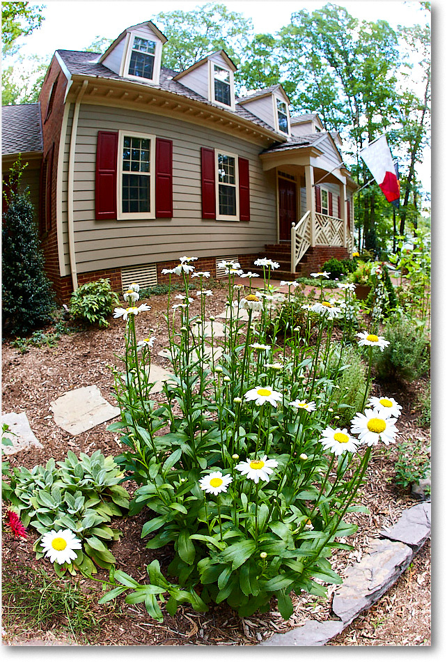 Susie'sGarden_2010Jul_S3A2164
