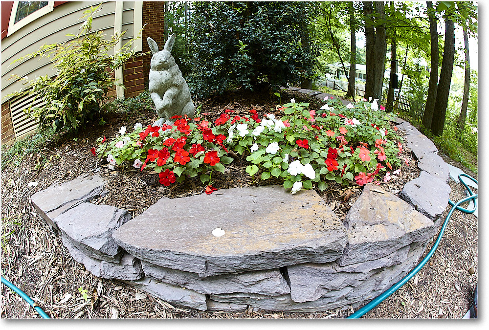 Susie'sGarden_2010Jul_S3A2167