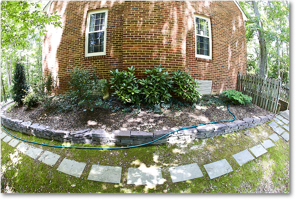 Susie'sGarden_2010Jul_S3A2168