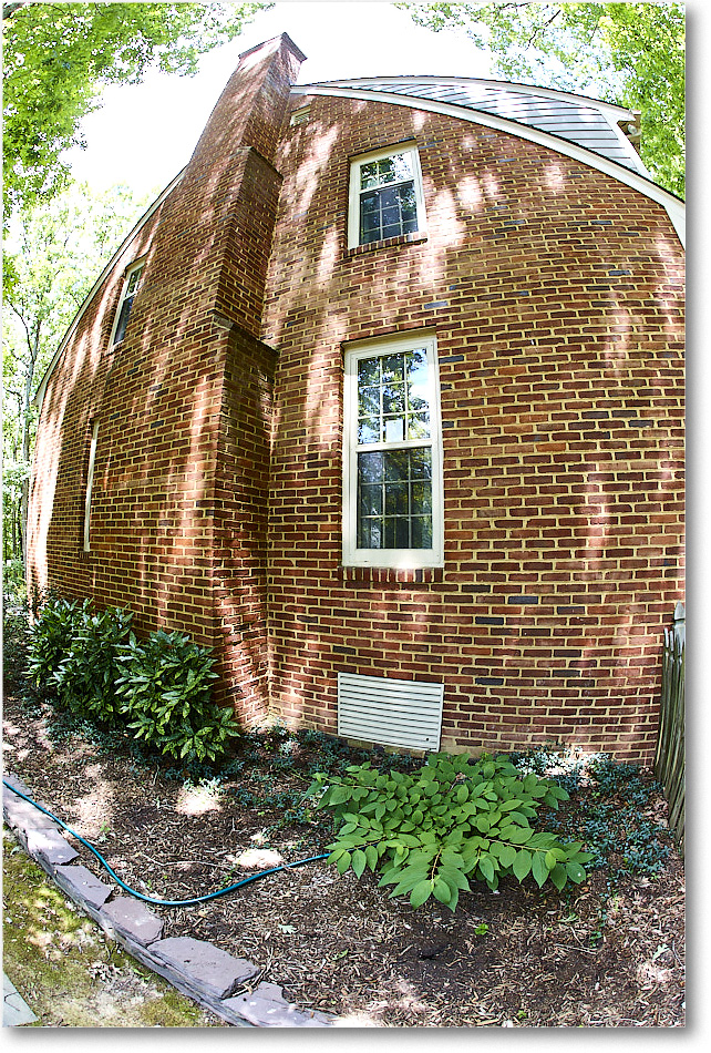 Susie'sGarden_2010Jul_S3A2171