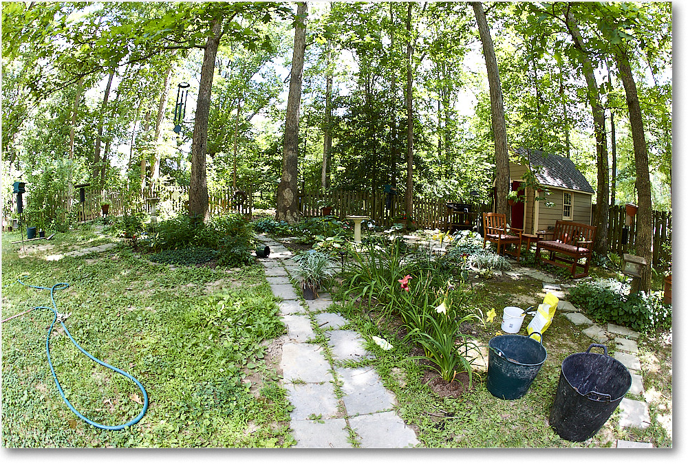 Susie'sGarden_2010Jul_S3A2173