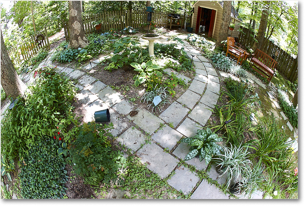 Susie'sGarden_2010Jul_S3A2174