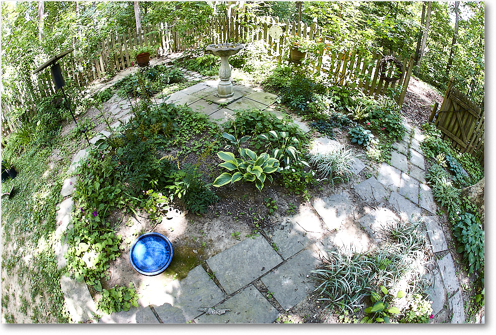 Susie'sGarden_2010Jul_S3A2175