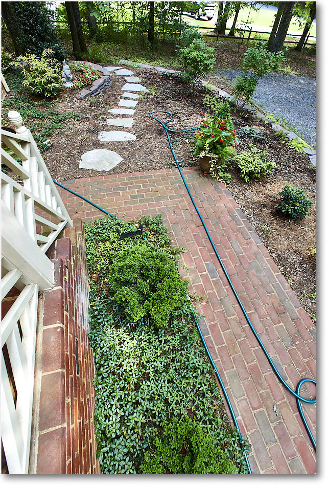 Susie'sGarden_2010Jun_S3A2121