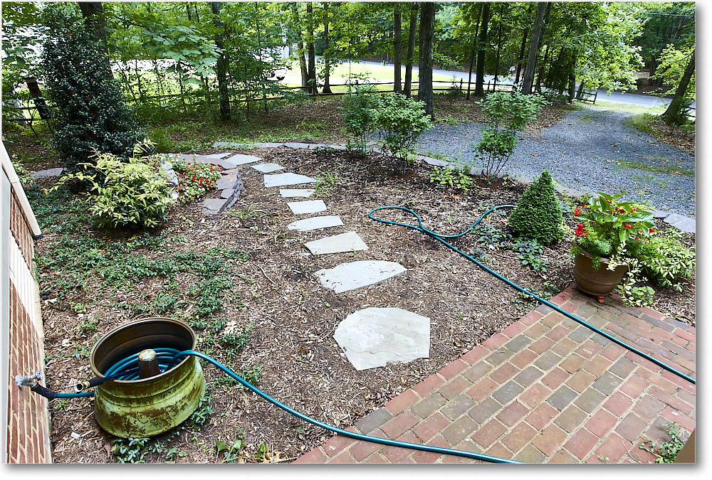 Susie'sGarden_2010Jun_S3A2122